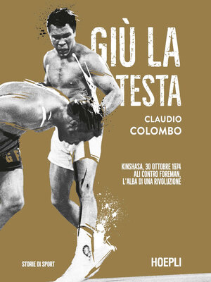 cover image of Giù la testa